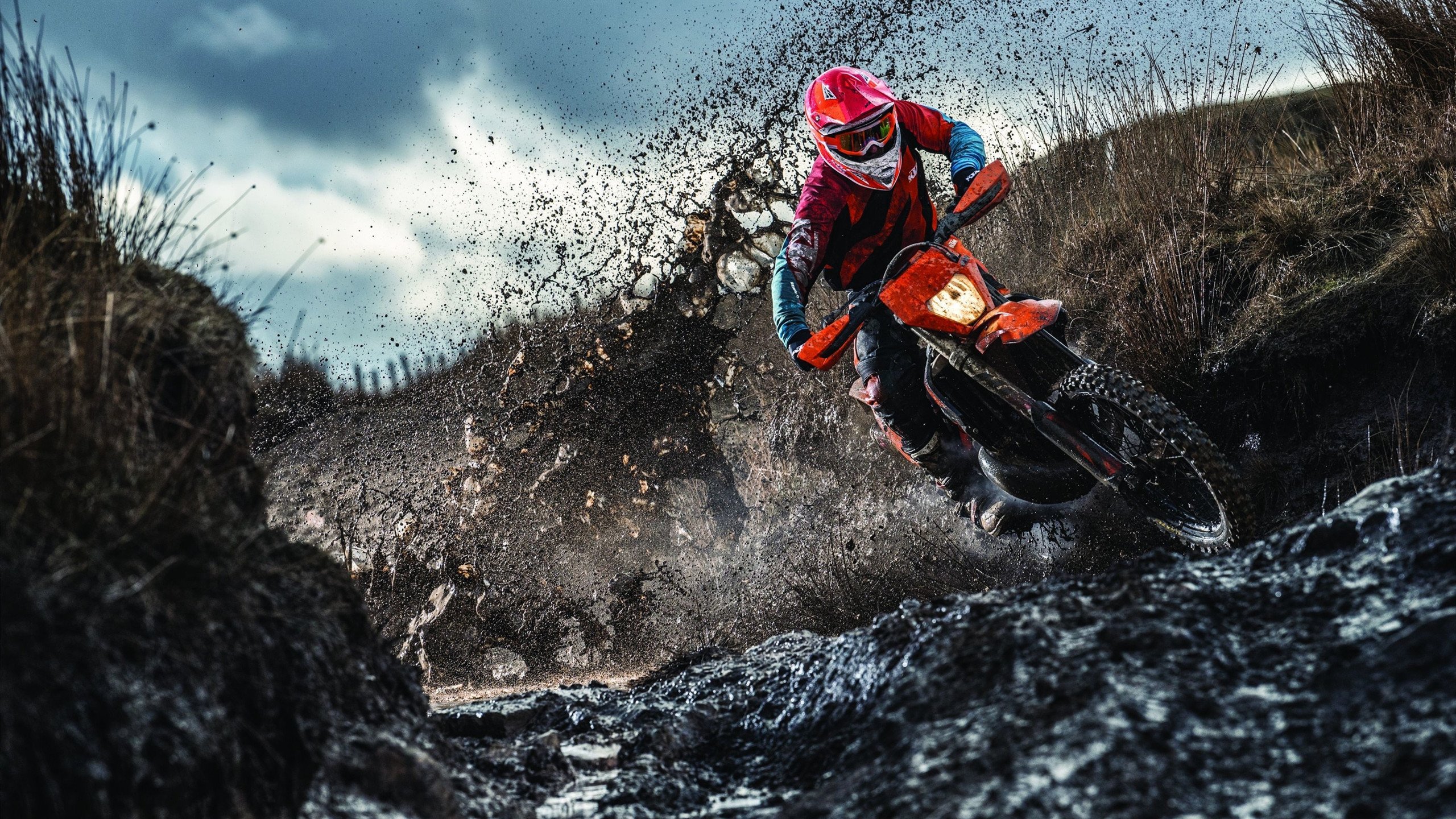 叶夫根尼娅·奇库诺娃泳姿优雅成焦点,叶夫根尼娅·格罗百科